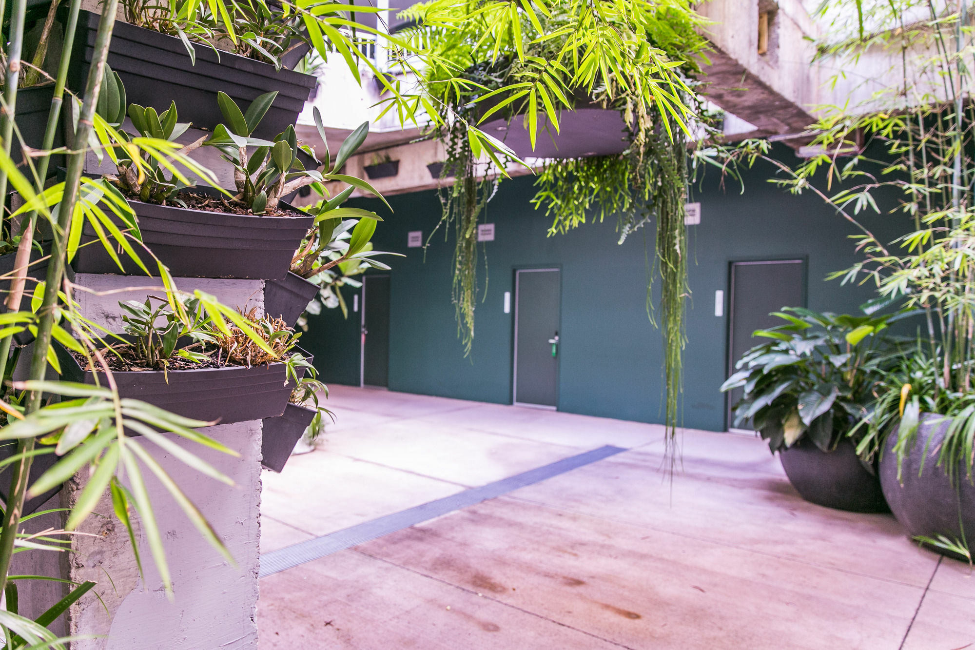 The Urban Newtown Hotel Sydney Exterior foto